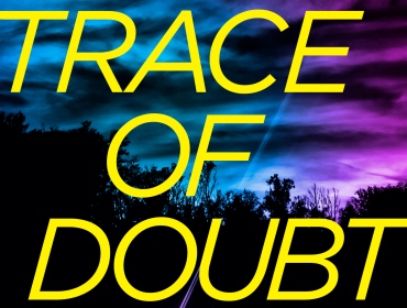 trace of doubt diann mills