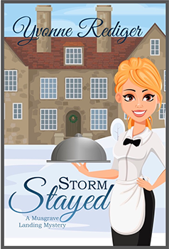 Book Cover: STORM STAYED